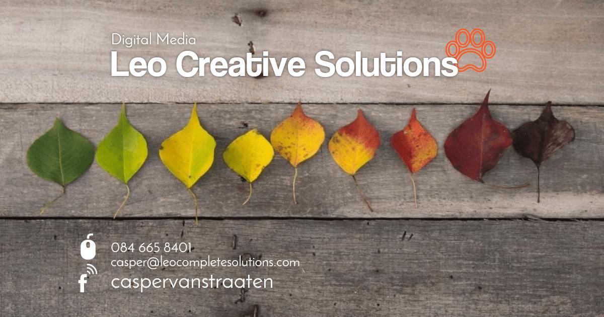 Banner_Leo_Creattive_Solutions Banner_Leo_Creattive_Solutions